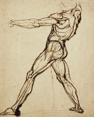 Ein Akt wirft von Johann Heinrich Füssli