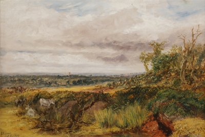 Landschaft, 1856 von Henry Harris Lines