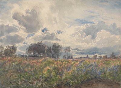 Regnerischer Juni, Picardie von Henry Moore