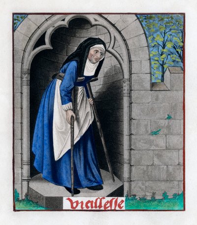 Alter, um 1480 von Henry Shaw