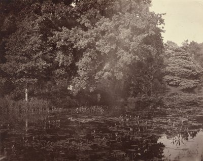 Teich im Park, Surrey von Henry White