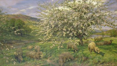 Unbekanntes Bild von Henry William Banks Davis