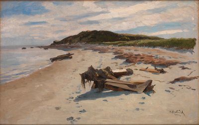 Cape Cod, Strand von Herman Hartwich
