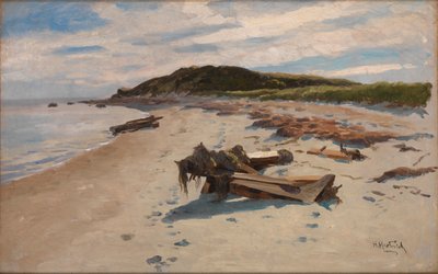 Cape Cod, Strand, 1894 von Herman Hartwich