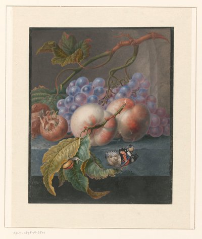 Früchte mit einem Schmetterling und einer Schnecke von Herman Henstenburgh