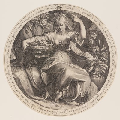 Flora von Herman Jansz. Muller