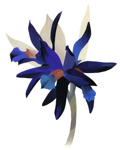 Eine imaginäre Blume mit blauem Grund von Hiroyuki Izutsu