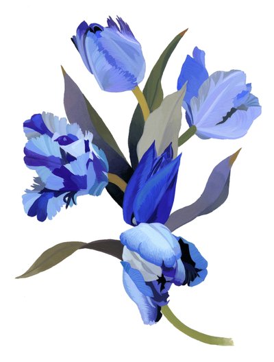 Blaue Tulpe von Hiroyuki Izutsu