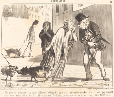 Diese armen Tiere... erkennen sich nicht mehr... von Honoré Daumier