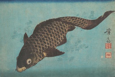 Koi von Ikeda Eisen