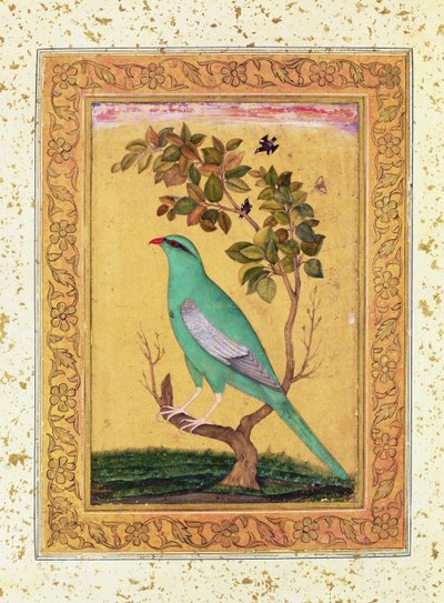 Grüner Vogel, Mughal von Indian School
