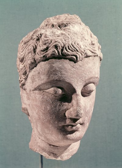 Kopf des Buddha, Gandhara, 2.-4. Jahrhundert von Indian School