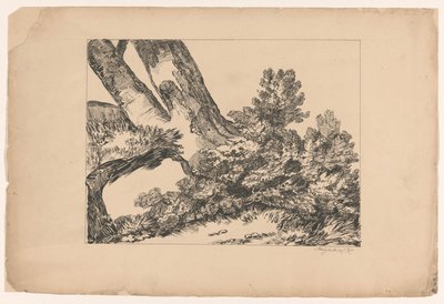 Vegetation unter einem Baum von Isaac Weissenbruch
