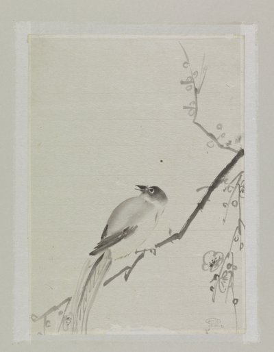 Vogel auf einem Ast eines Kirschbaums von Ishikawa Kazan