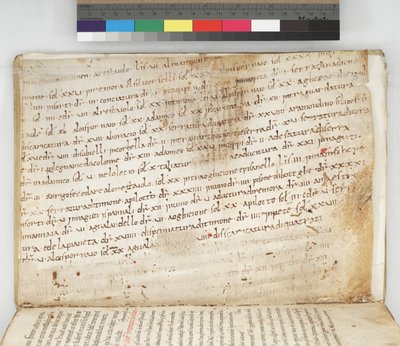 Carta Pisano von Italian School