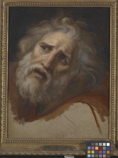 Kopf des Laokoon von Italian School