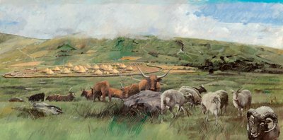 Grimspound, Bronzezeit, ca. 1990-2010 von Ivan Lapper