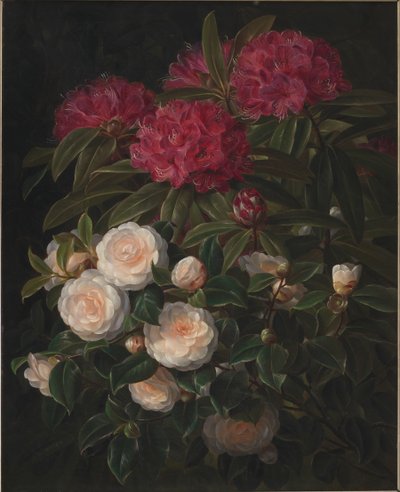 Kamelien und Rhododendron von J.L. Jensen