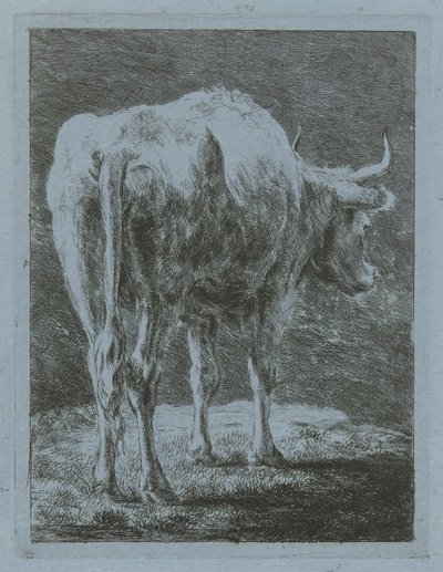 Kuh in einer Landschaft von Jabes Heenck