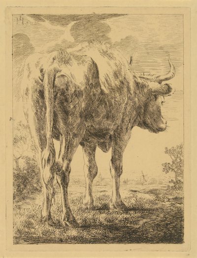 Kuh in einer Landschaft von Jabes Heenck