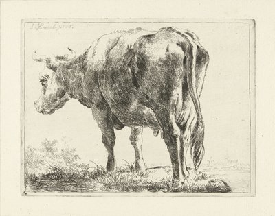Stehende Kuh von Jabes Heenck