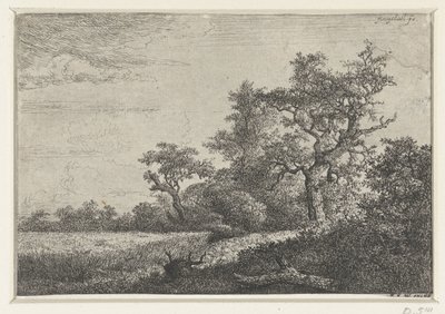Das Kornfeld von Jacob van Ruisdael