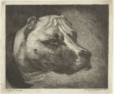 Hundekopf mit Halsband von Jacobus Cornelis Gaal