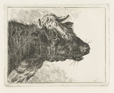 Brüllender Ochse von Jacobus Cornelis Gaal