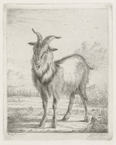 Stehende Ziege von Jacobus Cornelis Gaal