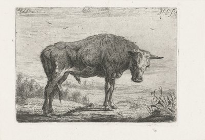 Stehender Stier von Jacobus Cornelis Gaal