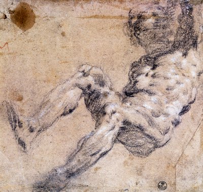 Studie eines männlichen Aktes von Jacopo Robusti Tintoretto