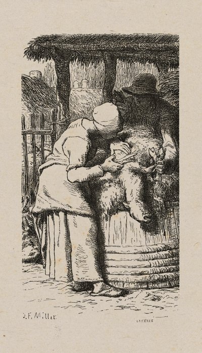 Frau schert Schafe von Jacques Adrien Lavieille
