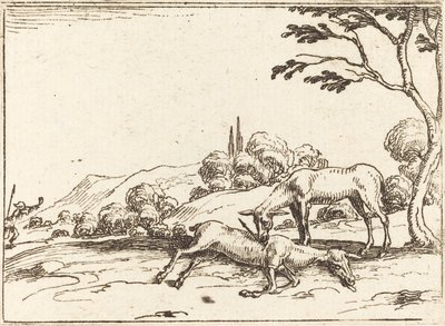 Hirschkuh trauert um ihr Fohlen von Jacques Callot