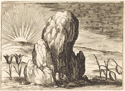 Die Tulpen und die Sonne von Jacques Callot