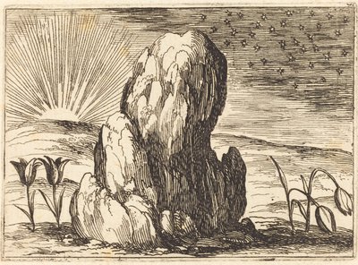 Die Tulpen und die Sonne von Jacques Callot
