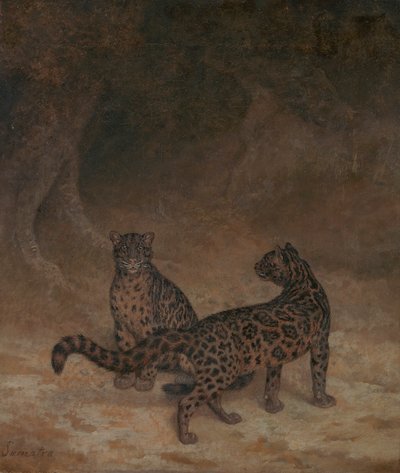 Nebelparder von Jacques Laurent Agasse