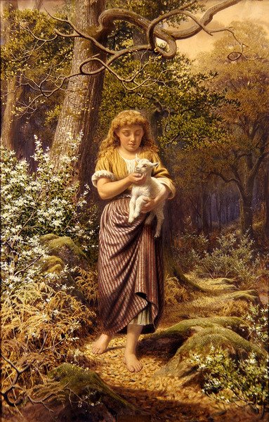 Das Lamm von James Barnes