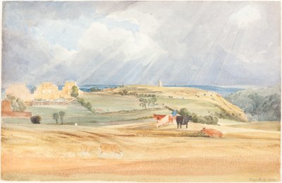 Landschaft mit Vieh (Somerset?) von James Bulwer