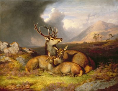 Highland Felicity, Ben Lebrig im Hintergrund von James Giles