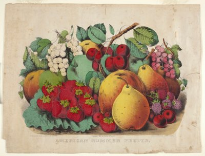 Amerikanische Sommerfrüchte von James Merritt Ives