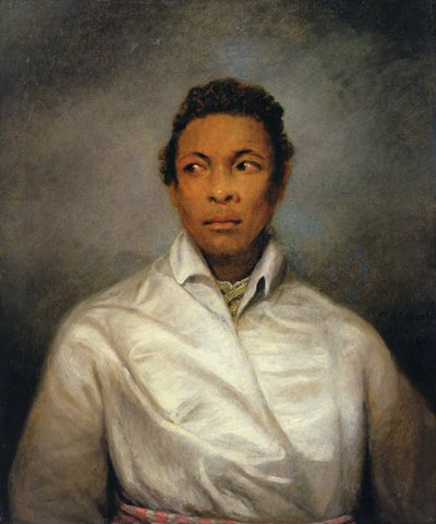 Othello, der Mohr von Venedig von James Northcote