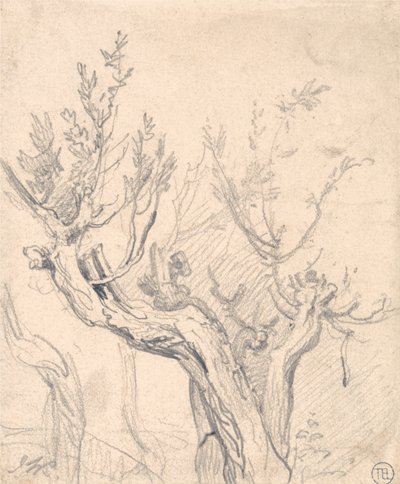 Ein knorriger Baum von James Ward