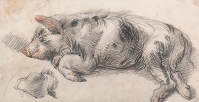 Schlafendes Schwein von James Ward