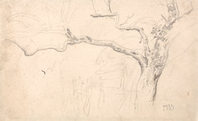 Baumstudie von James Ward