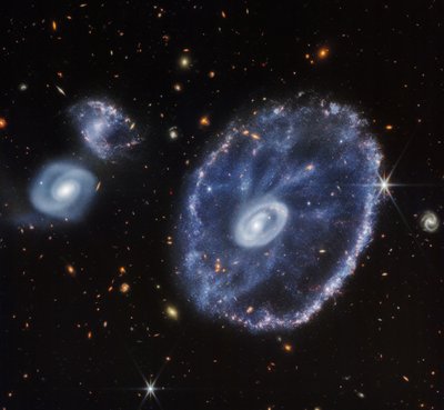 Cartwheel-Galaxie (nur NIRCam) von James Webb Space Telescope (NASA)