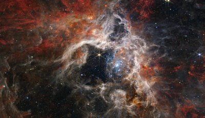 Tarantelnebel von James Webb Space Telescope (NASA)