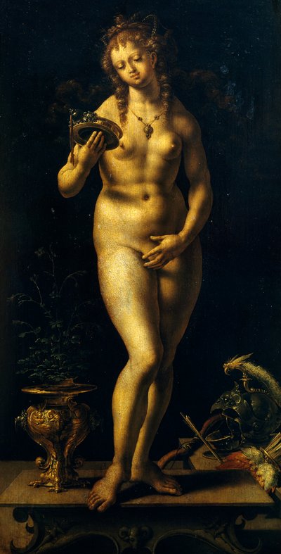 Venus von Jan (c.1472 c.1533) Gossaert