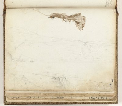Bucht von St. Helena, getrocknetes Blatt von Jan Brandes