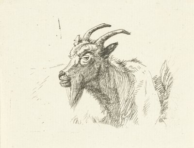 Liegende Ziege von Jan Dasveldt