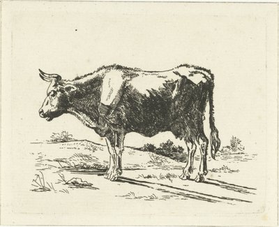 Stehende Kuh von Jan Dasveldt